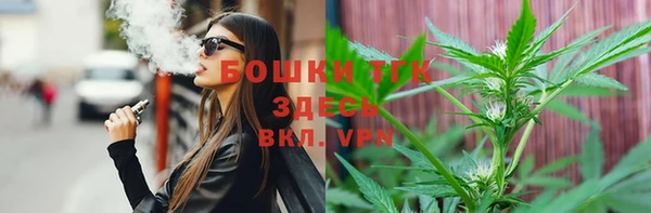 твердый Богородицк